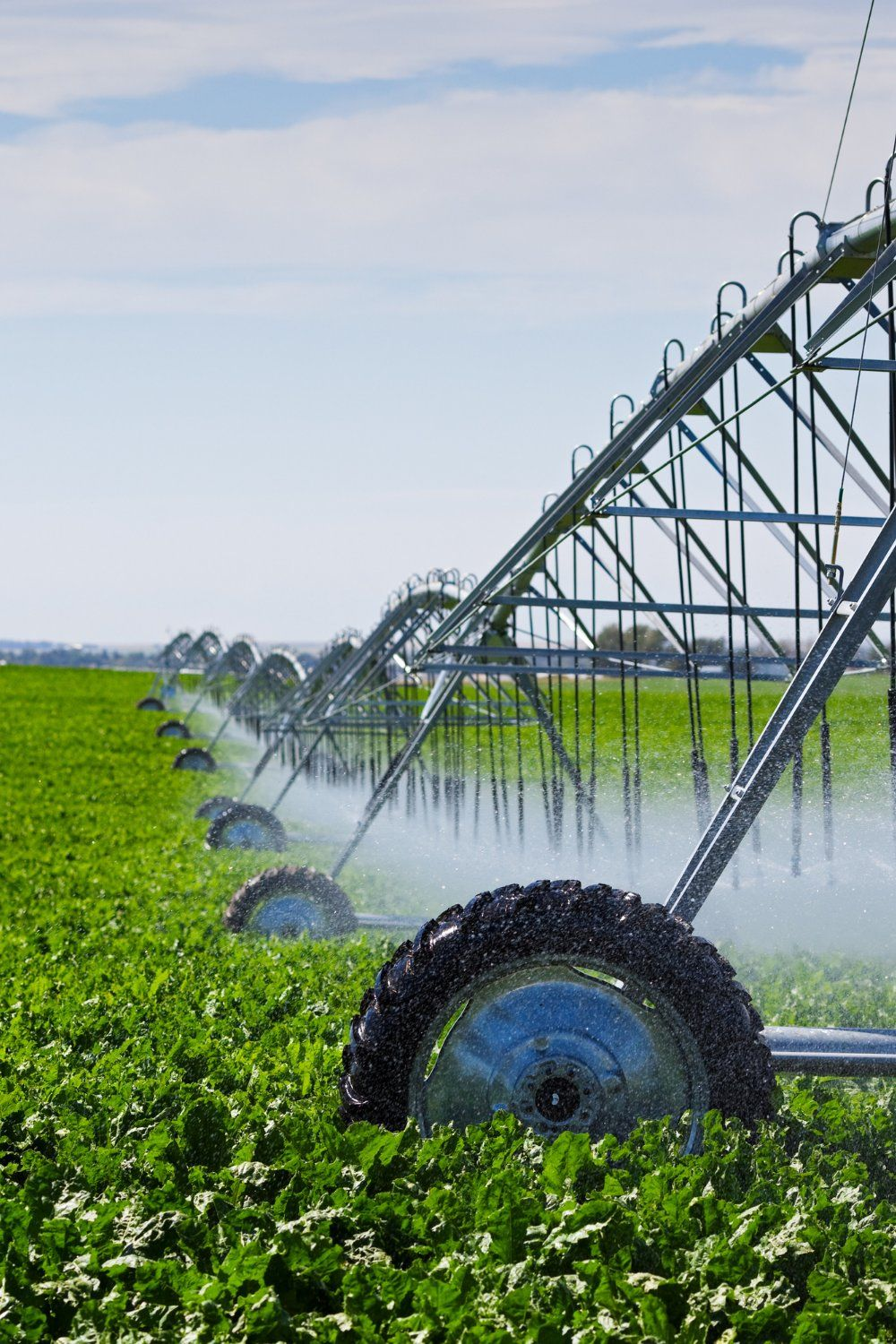 Irrigation